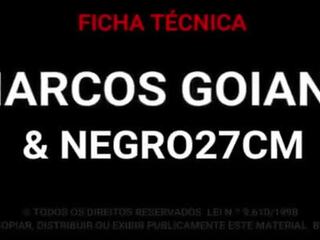 Marcos goiano - i madh e zezë putz 27 cm qij mua pambrojtur dhe derdhje jashtë